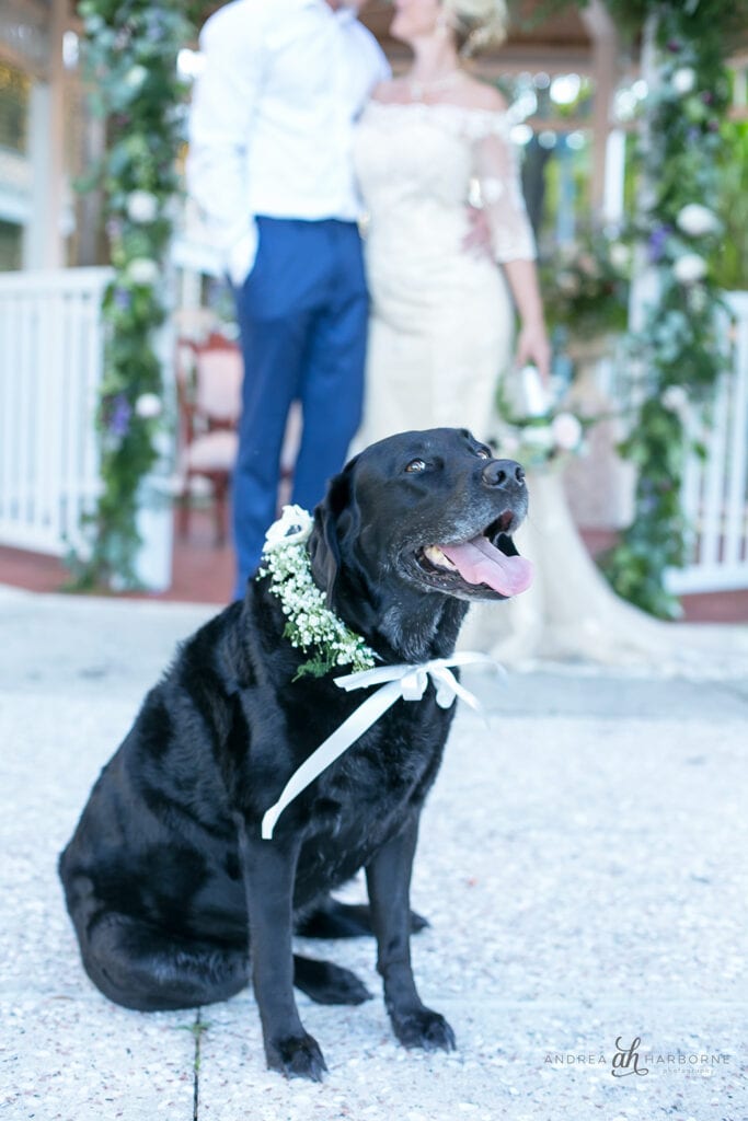 Fort Lauderdale Historical Society wedding photographer