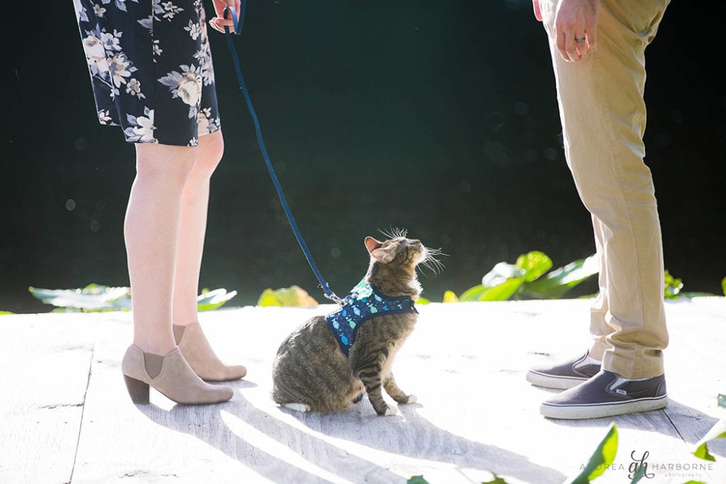 Couple & Cat Photoshoot | Hugh Taylor Birch Park, Fort Lauderdale