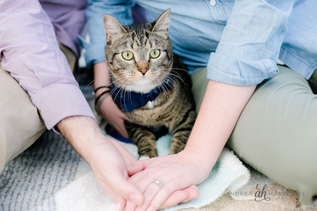 Couple & Cat Photoshoot | Fort Lauderdale photographer