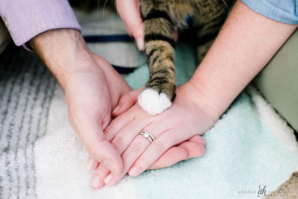 Couple & Cat Photoshoot | Fort Lauderdale photographer