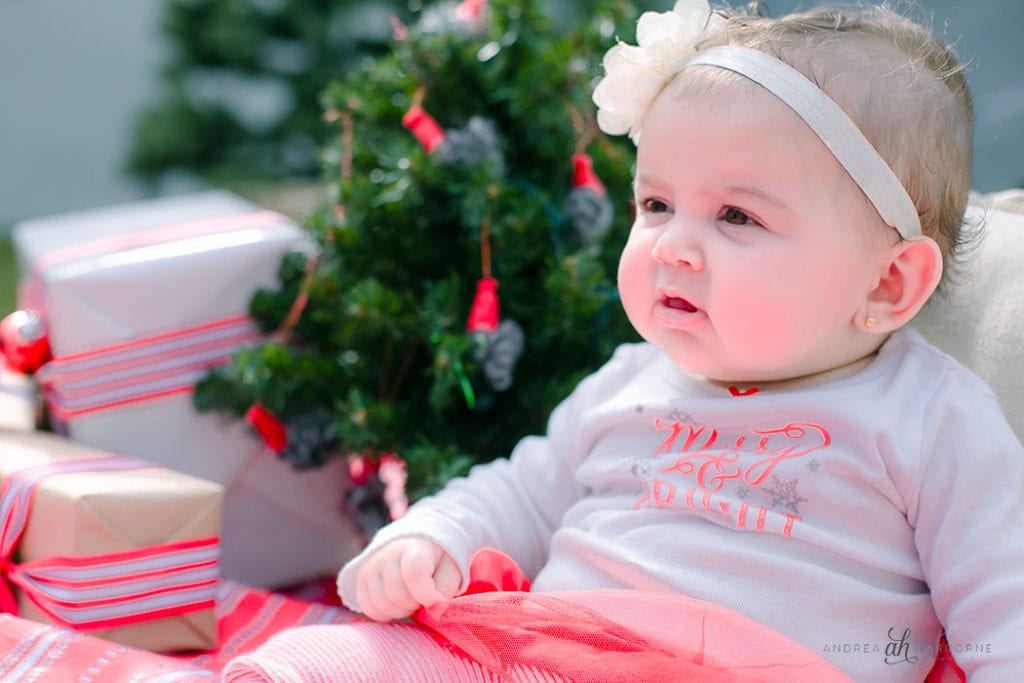 Christmas Photography Ideas