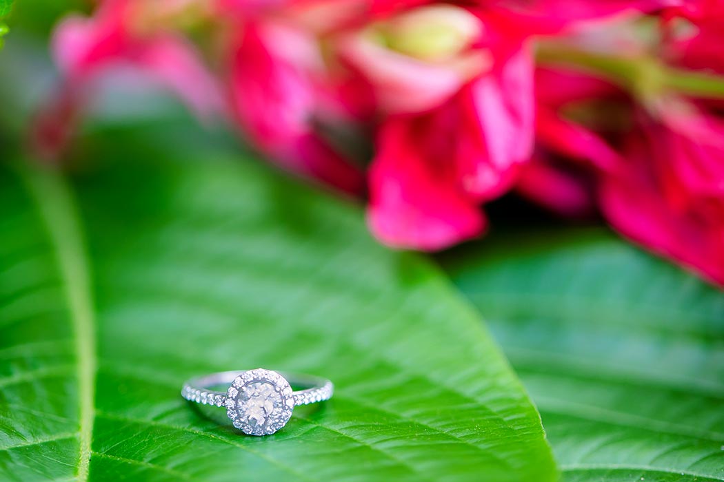 round diamond engagement ring on green leaf