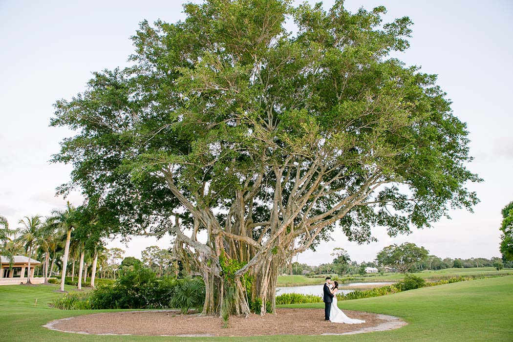 bride and groom portrait under a tree on golf course | wide angle photograph of bride and groom under tree | breakers west country club wedding bride and groom