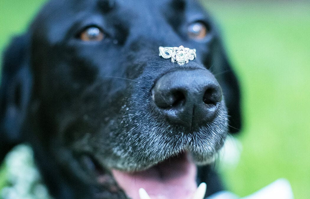 Fort Lauderdale Historical Society wedding photographer