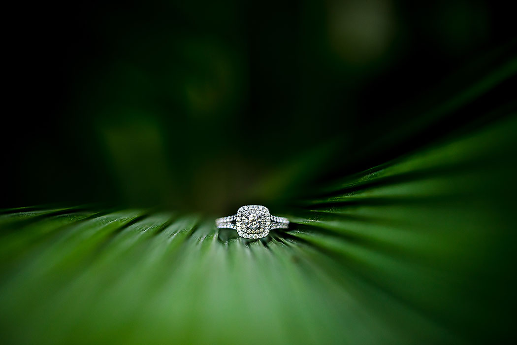 unique engagement ring shot with leaves