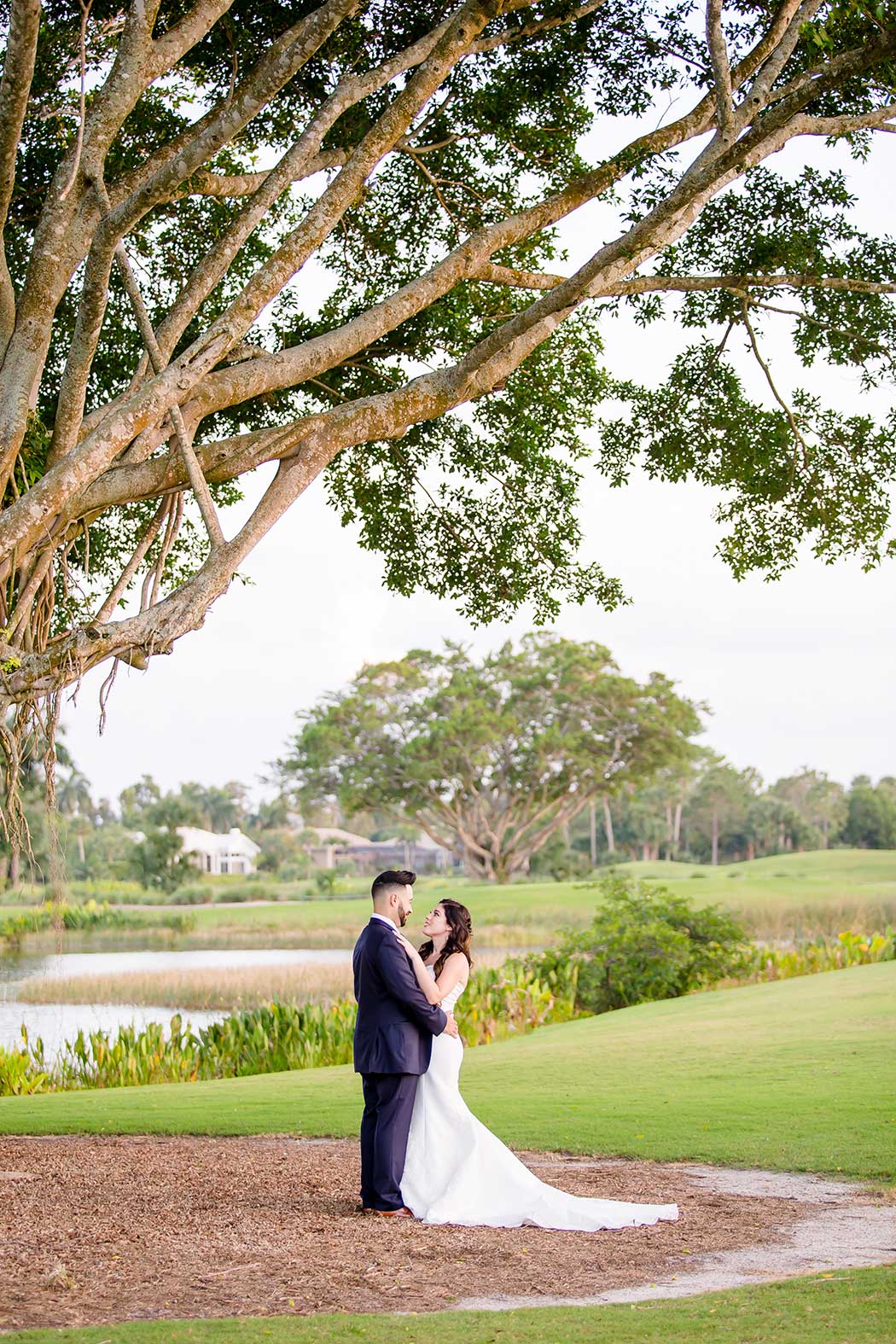 stunning bridal portrait on golf course at breakers west country club | bride and groom under tree | bride holding grooms chest