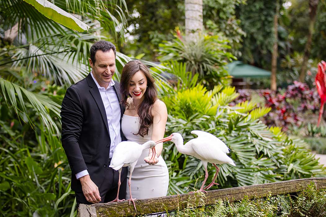 Couples photography session at Flamingo Gardens, South Florida feeding the ibis