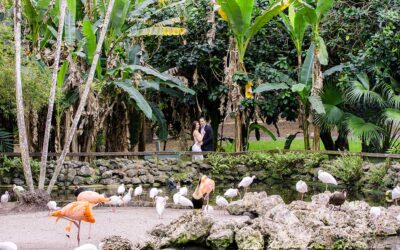 Flamingo Gardens: A Modern Couple’s Photoshoot in South Florida